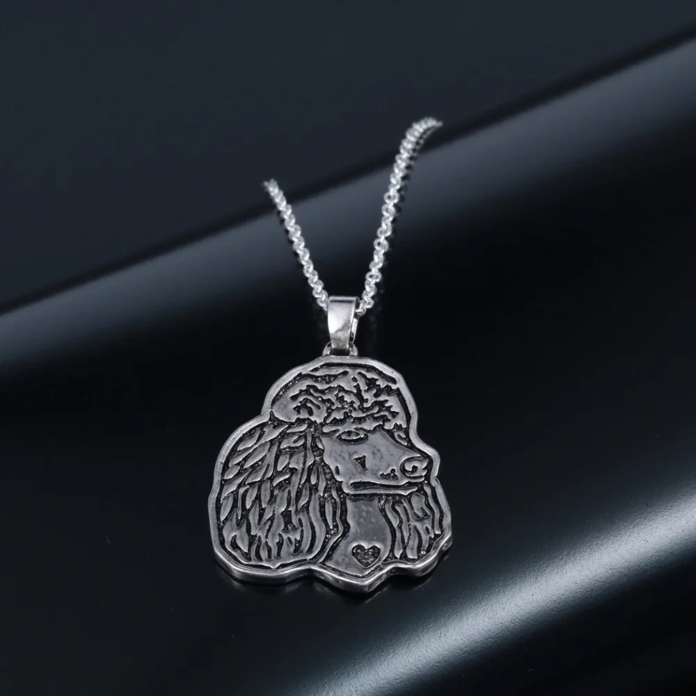 Chengxun 2020 Poodl…