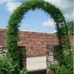 Arche de fleurs en rotin simple, 140x38x240cm de haut, cadre de vigne de courge de jardinage, plomb de route, vigne en fer, décoration de mariage