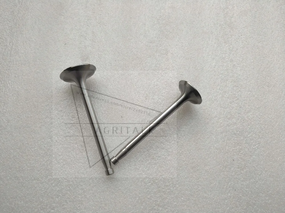 connecting rod bearings/intake and exhaust valve for Xintai  XT-120 with engine 190-12, part number:  195T.04.213/195.01.001