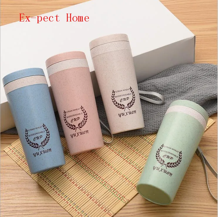 

40pcs Straw Fiber Cup Hand-held Following Cup Creative Gift Water Cup with Double Layer Maixiang Cup