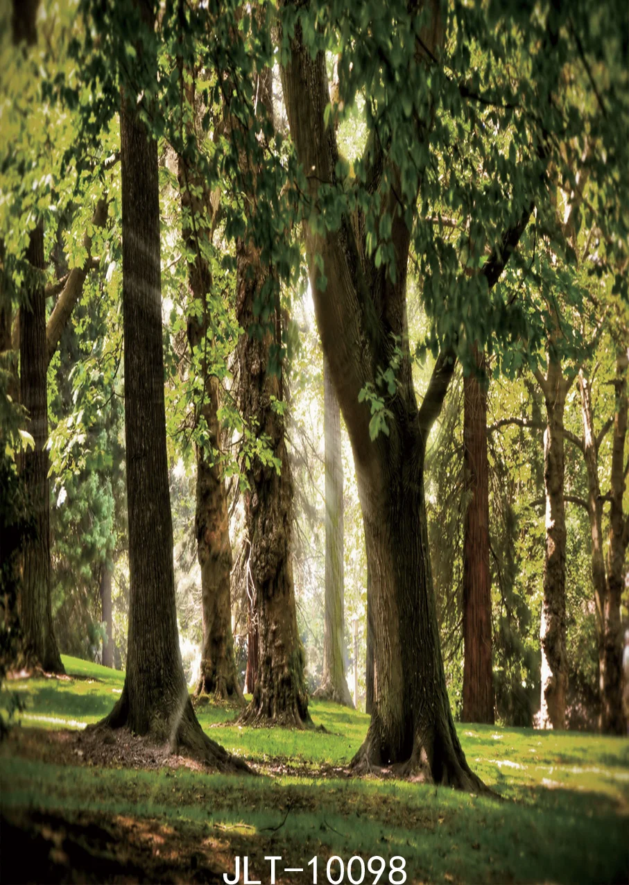 Sunlight Forest Grass Scenery Vinyl Photography Backdrop For Wedding Party Children Adult Background Photo Booth Shoot Studio