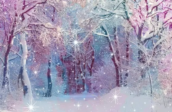 Fairy Light Snowflakes White Forest Snow Overlay Magic Texture background   Computer print party photo backdrop