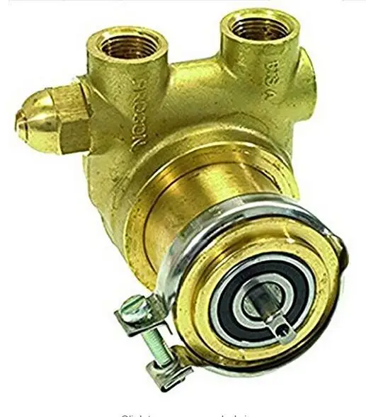 BOMBA DE PALANTE ROTARIA BEZZERA PROCON 3/8" NPT 200L/h 3/8"