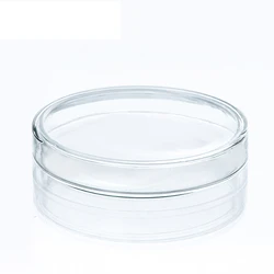 Borosilicate Glass Petri Dishes Bacteria Petri Dishes 60mm High Temperature Biological Test Equipment Glass Plates , 3pcs