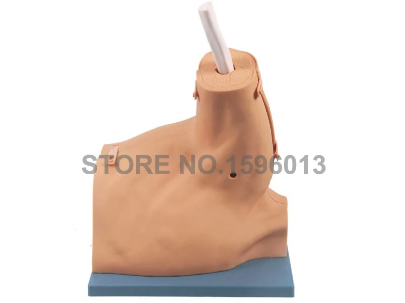 Advanced Shoulder Arthroscopy Model, Medical Arthroscopic Examination Training Shoulder Joint Model