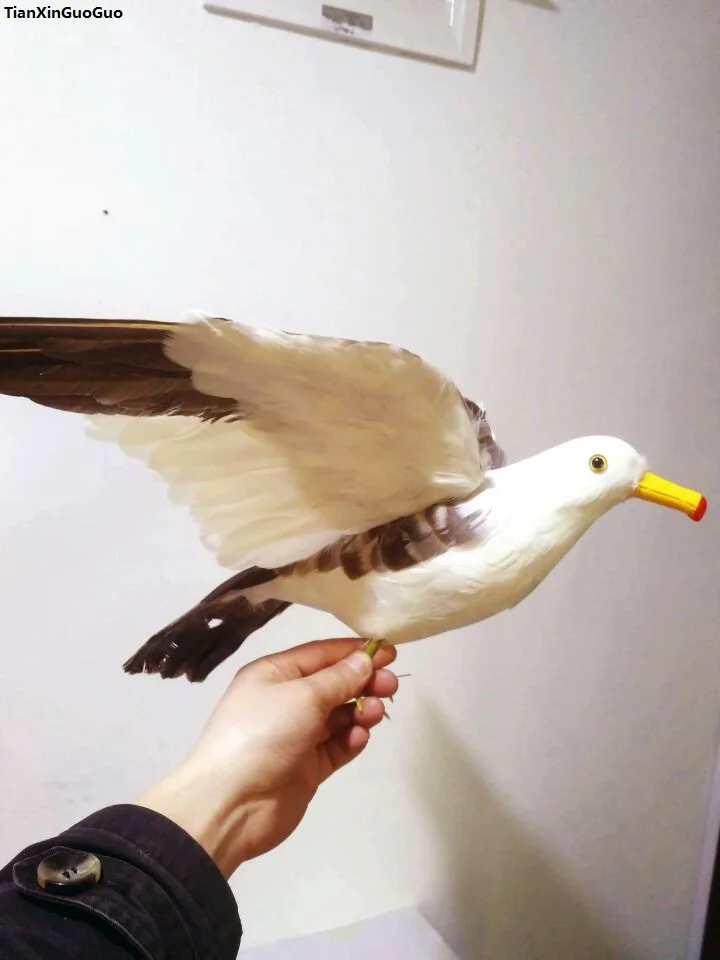 

foam&feathers seagull spreading wings bird hard model large 40x60cm prop craft home garden decoration handicraft,s1559