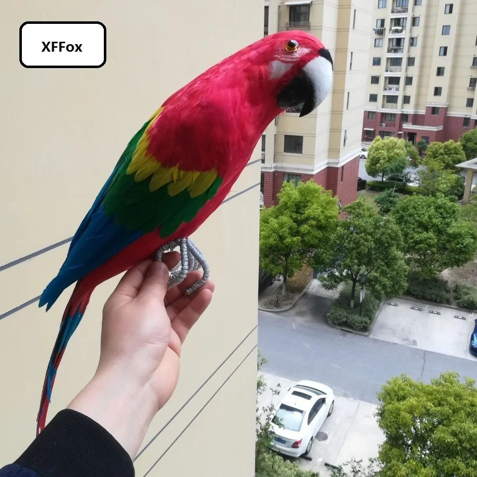 big simulation parrot  model foam&feather new real life red parrot bird gift about 60cm xf1069