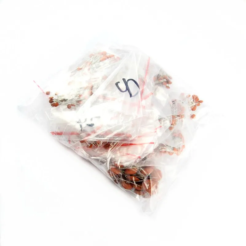 일반적으로 사용되는 도자기 커패시터 샘플 패키지, 2pf-0.1UF 총 30 개 모델, 각 10 개/개 수량