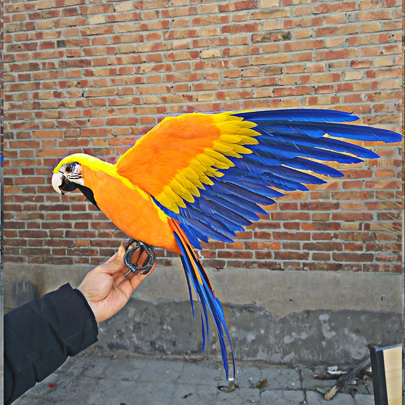 new simulation orange&blue parrot toy foam&furs wings bird doll gift about 60x45cm 0448