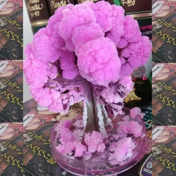 Árbol mágico de flores de cerezo para niños, juguete educativo de flores de cerezo de escritorio, de papel Artificial, 9Hx8Wcm, 20 piezas, 2019