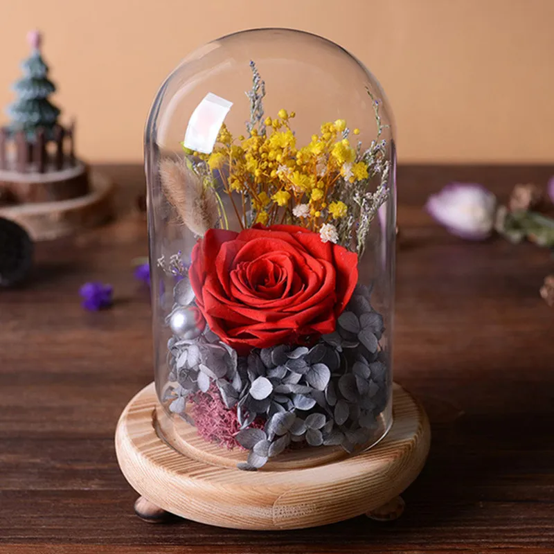 12*22cm Middle Size Glass Dome Home Decoration Vase Three Legs Log Base Transparent Cover DIY Friend Gift Wedding Live Prop