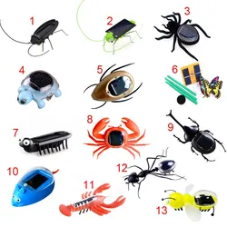 Juguete de plástico de energía Solar para niños, hormiga, cucarachas, araña, tortuga, cangrejo, mariposa, insectos, enseñanza, regalo para niños