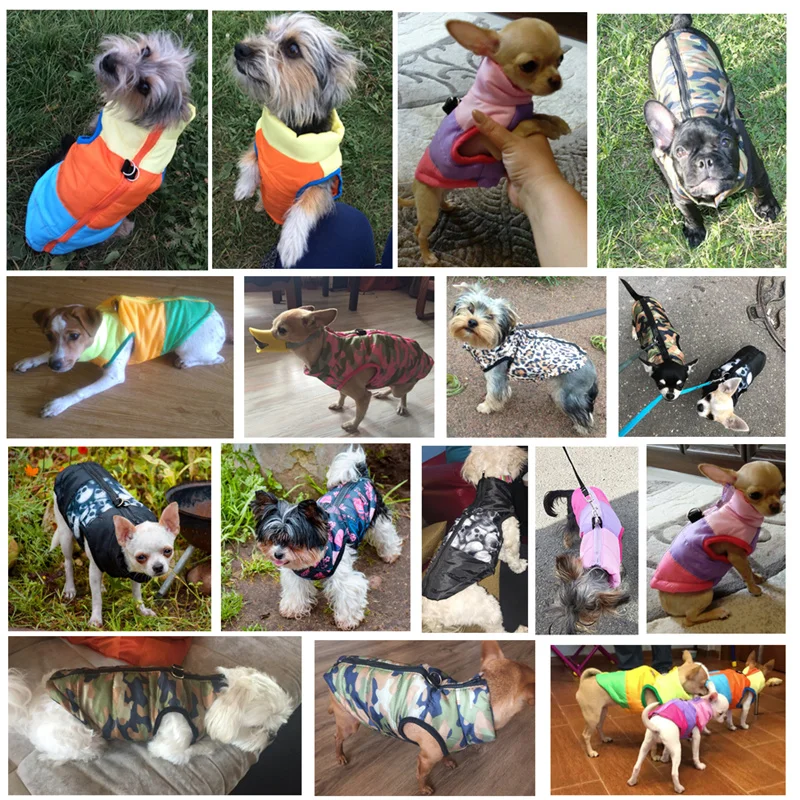 Vestiti per cani invernali per cani di piccola taglia giacche per cappotti per animali domestici calde antivento vestiti imbottiti gilet per