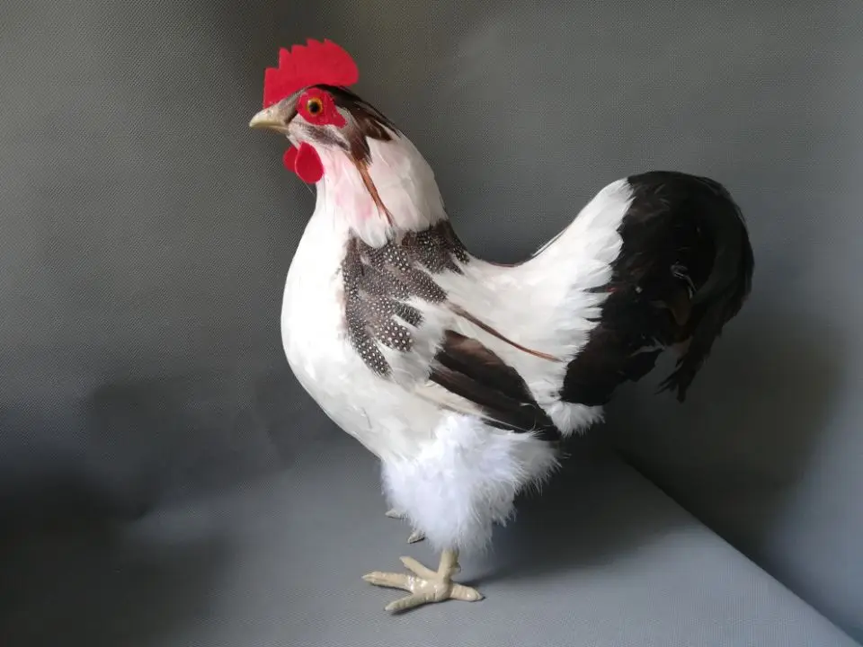 1:1 model simulation cock plastic&feathers colourful white cock model about 42x40cm, home, farm decoration gift w0170