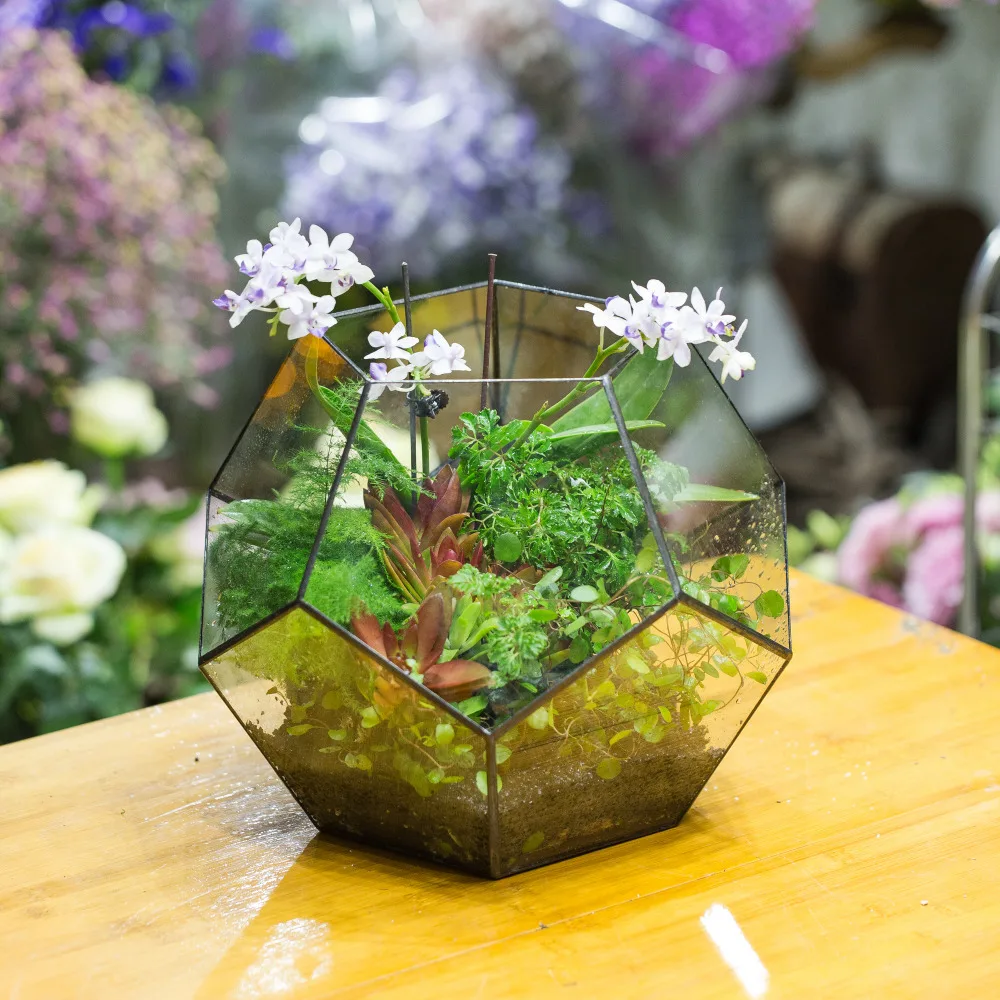 Imagem -03 - Feito à Mão Bonsai Poliedro Vidro Geométrico Terrário Caixa de Mesa Suculentas Samambaia Musgo Plantas Caixa Plantador Extra Grande Vaso de Flores