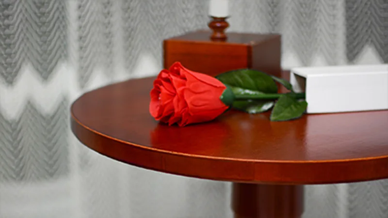Table flottante ronde deux en un, boîte Anti-gravité + Vase Anti-gravité, tours de magie, Table flottante pour magicien