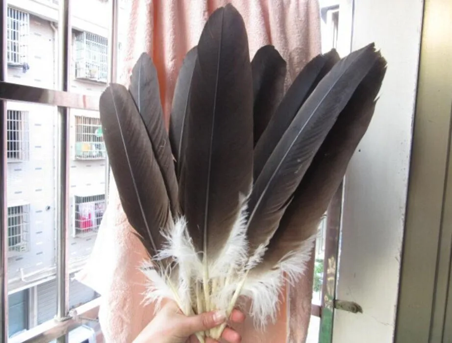 wholesale 10 rare natural eagle feathers 40-45 cm/16-18 inches celebration decoration Jewelry accessories stage performance diy