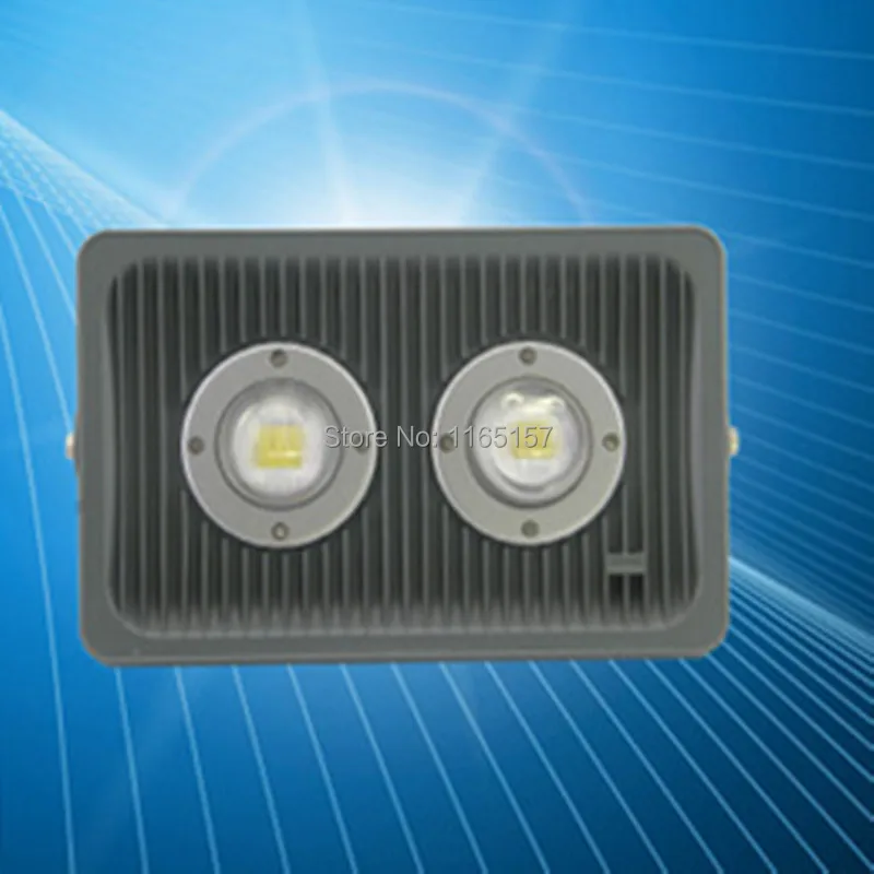 

Toika Waterproof High Power 2pcs/lot 100w Cool/Warm White cob Led Lamp Floodlight Led Flood Light Garden Outdoor Lighting