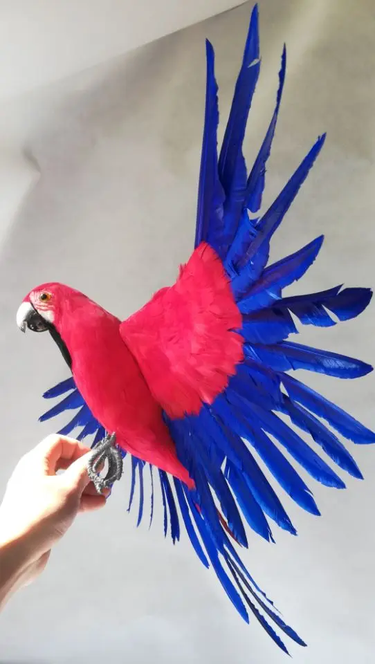 Pájaro de la vida real, plumas rojas y azules, modelo de loro grande de 45x60cm, alas extendidas, loro, decoración de jardín, juguete para regalo h1218