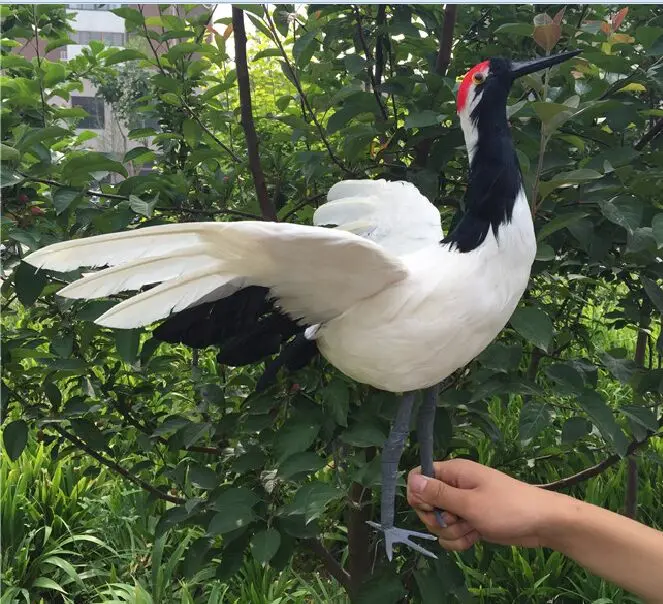 

simulation bird large 35x40cm spreading wings Red-crowned crane model foam&feathers handicraft,home garden decoration gift a2568