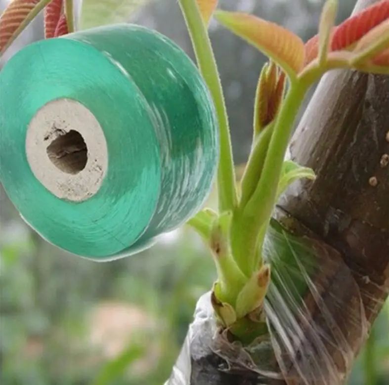 Self-adhesive Nursery Stretchable Fruit Tree Grafting Tape Garden Flower Vegetable Grafting Tapes 2CM x 100M / 1 Roll