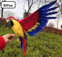 big real life wings parrot model foam&feather red&yellow simulation parrot bird gift about 45x60cm xf0312