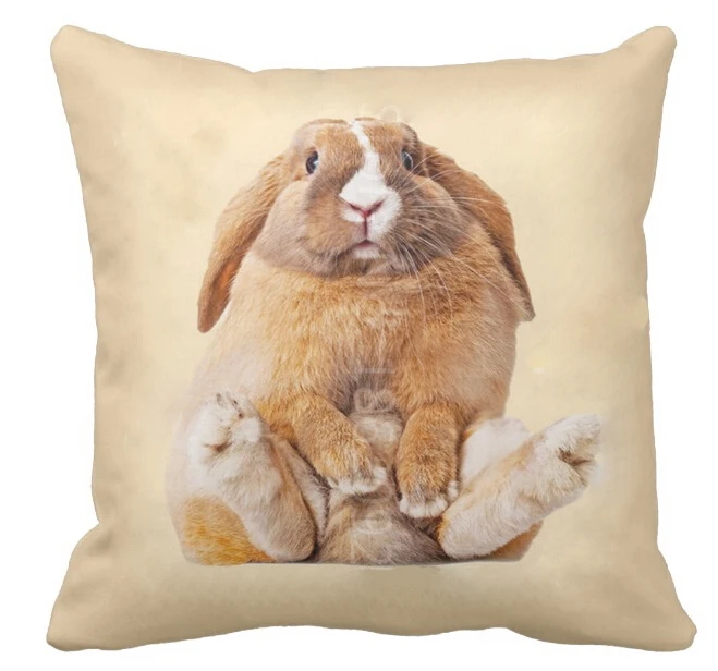 Cute Loppy Eared Rabbit Cushion Cover Chubby Bunny Rabbit Throw Pillow Case Decorative Pillows Cover Pet Puppy Room Decor Gifts