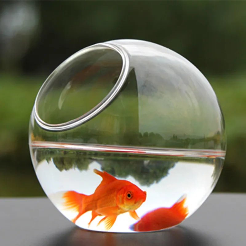 Diameter=15cm Big Size Side Open Transparent Glass Aquarium Home Decorative Handmade Table Terrarium Fishbowl Gift Wedding Props