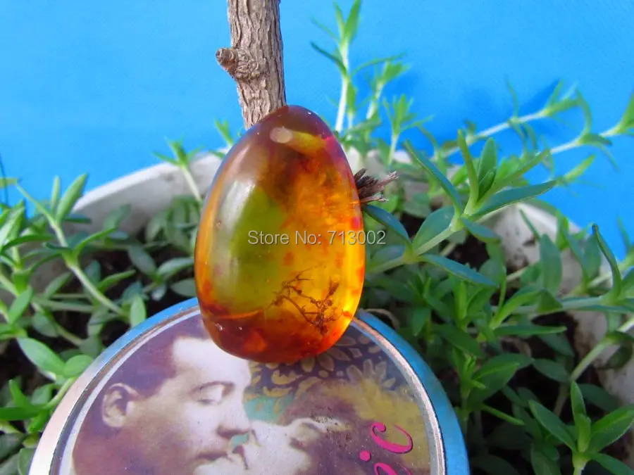 

Nature Old amber Amulet chrysophoron Pendant Talisman very Rare