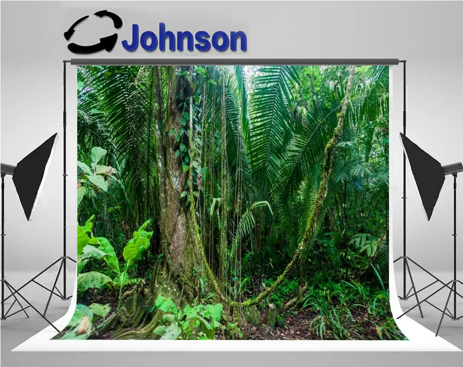 

Jungle Cockscomb Basin Wildlife Sanctuary Belize backdrops High quality Computer print wall background