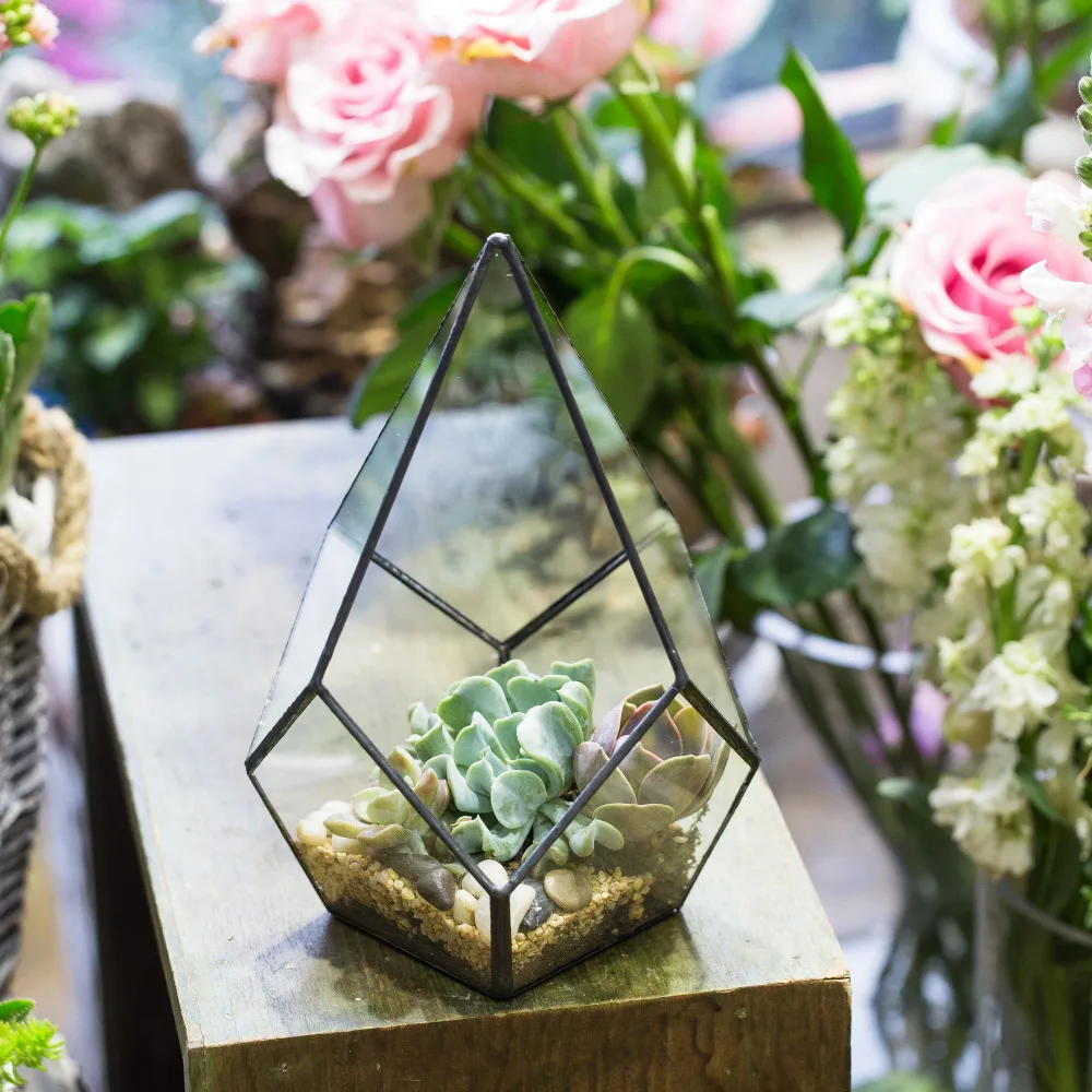 Four-surfaces Diamond Artistic Succulents Fern Moss Plants Glass Container Bonsai Flower Pot Clear Glass Geometric Terrarium Box