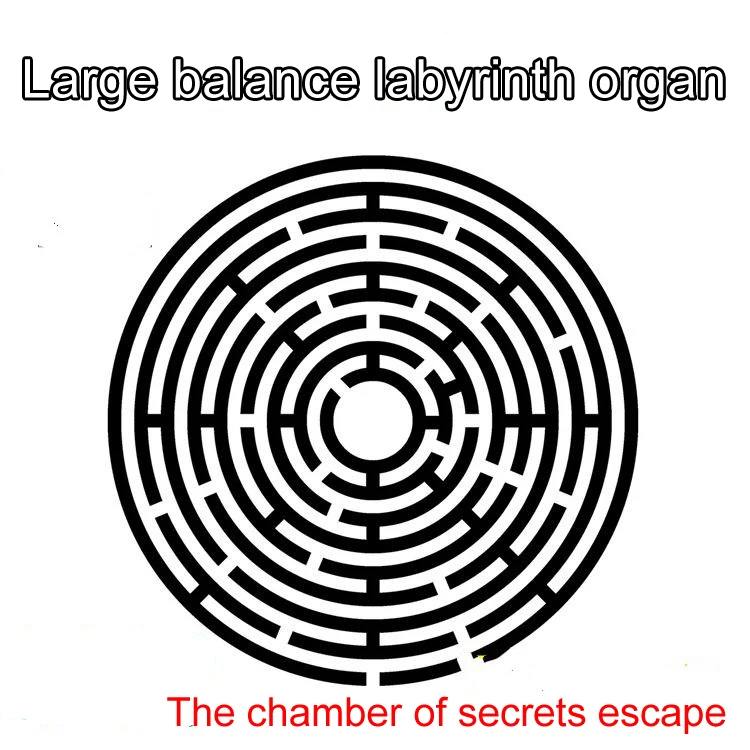 

The chamber of secrets escape big king finished props props authority balance labyrinth chamber of organs