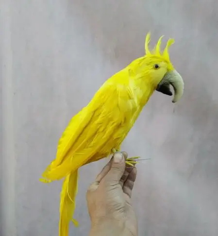 Large 40cm Yellow Feathers Parrot Simulation Bird Model Handicraft Home Garden Decoration Outdoor Prop Gift