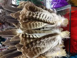 Wholesale perfect  52pcs  Rare  high quality natural Owl tail feathers 10-16inch/25-40cm  Decorative diy