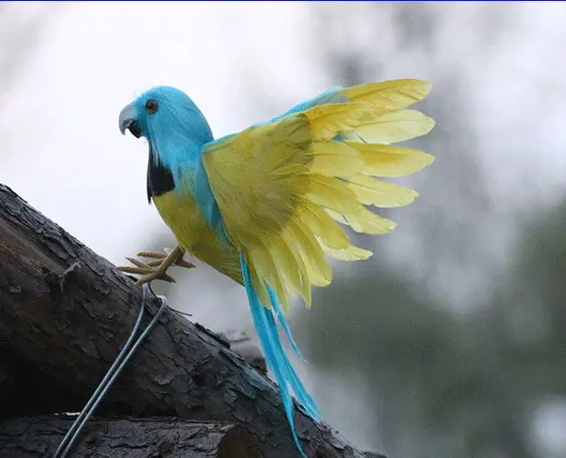 cute simulation blue&yellow parrot hard model polyethylene&feathers wings bird handicraft decoration gift about 20x30cm s2955