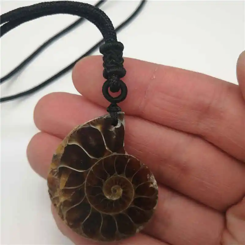 Beautiful Natural Stone Ammonite  Seashell Snail Pendants Ocean Reliquiae Conch Animal Necklaces Statement Men Jewellery