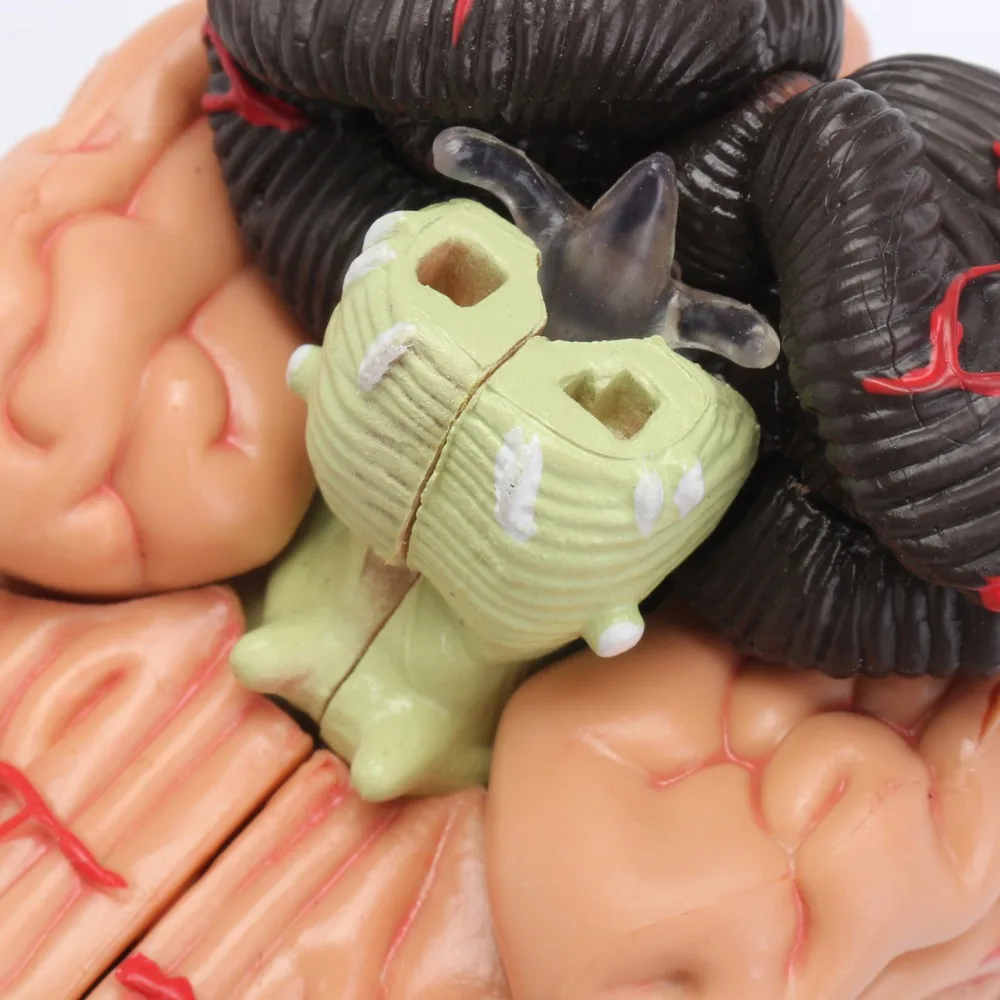 4D Human Anatomical Brain Model Anatomy Medical Teaching Tool Toy Statues Sculptures Medical School Use 7.2*6*10cm