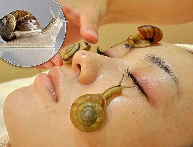 1KG Pure Snail Slime Mucus 1000ml Same As Snail Crawling On The Face Treatment Beauty Salon Equipment