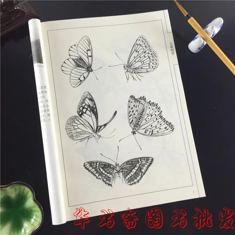 Chinese Painting Book 