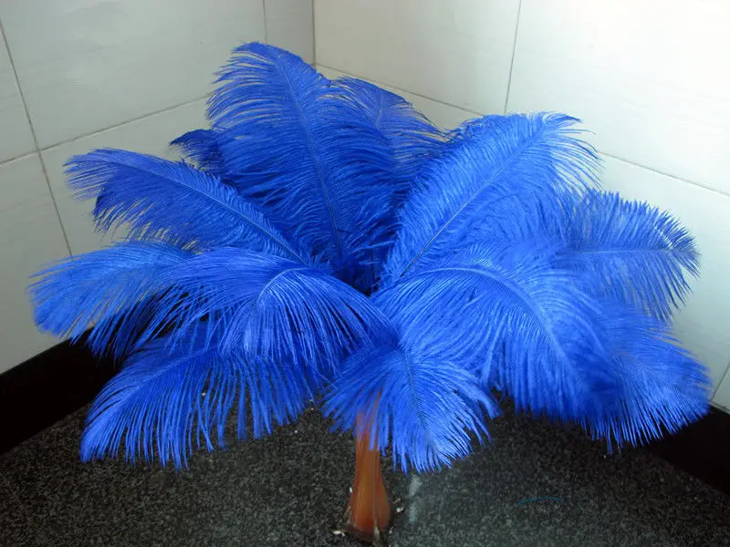 wholesale Quality 10pcs perfect Leniency Male blue natural ostrich feather 12-14inch/30-35cm decorative diy