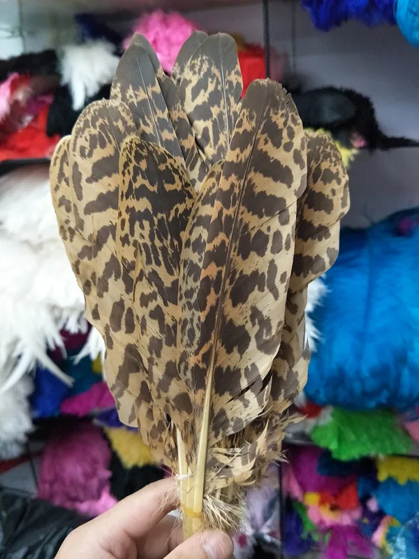 

Wholesale perfect a set scare natural Leopard pattern eagle feathers 17-24cm/7-9inch Decorative diy stage performance