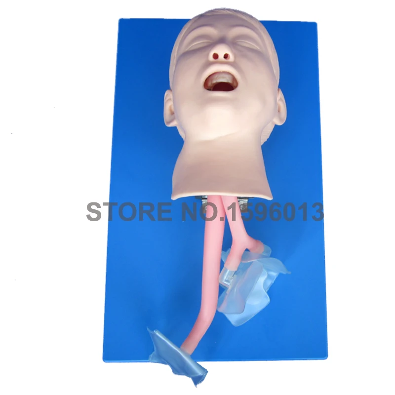 HOT Child Intubation Teaching Model Pediatric First Aid Trainer Medical Teaching SImulator