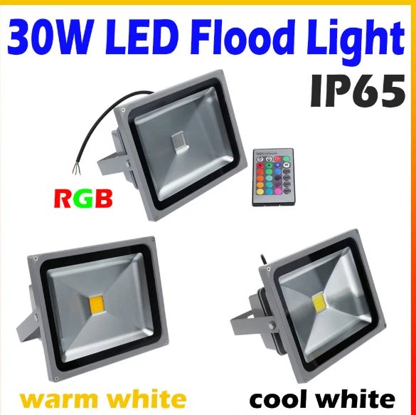 Changeable Flood Light 30W RGB Remote Control Foco LED Floodlight Refletor Spotlight Exterieur Stage Garden Park Outdoor Lamp