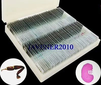 

200Pcs Professional Glass Biological Microscope Prepared Slides Lab Specimens