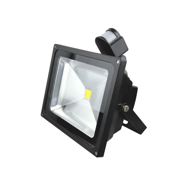 LED Flood Light 10W PIR Infrared Motion Sensor 20W 30W 220V Sensor Floodlight Professional Lamp 50W Outdoor Landscape Lighting