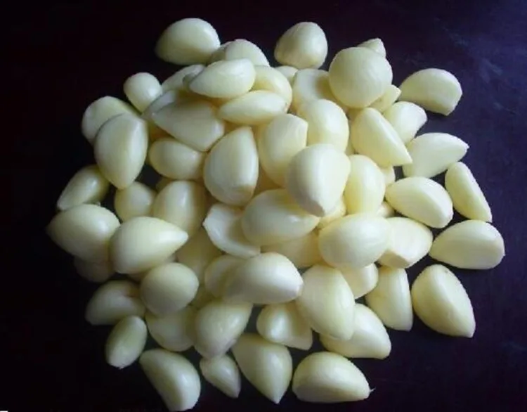 100kg/h Dry Garlic Peeling Machine For Garlic Skin Removing Machine With High Production