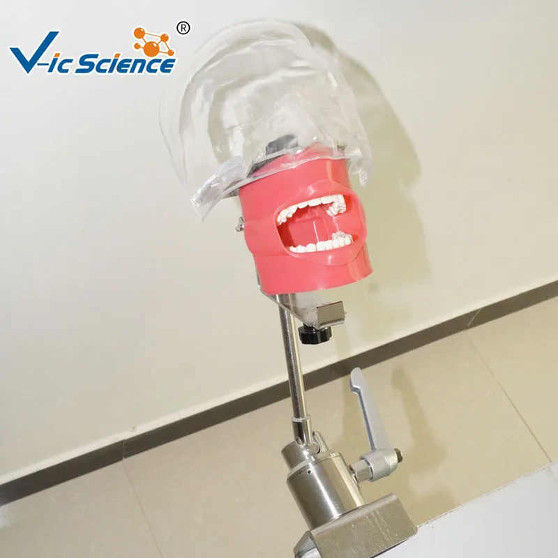 Nuovo Modello In Acciaio Inox Semplice Modello di Testa