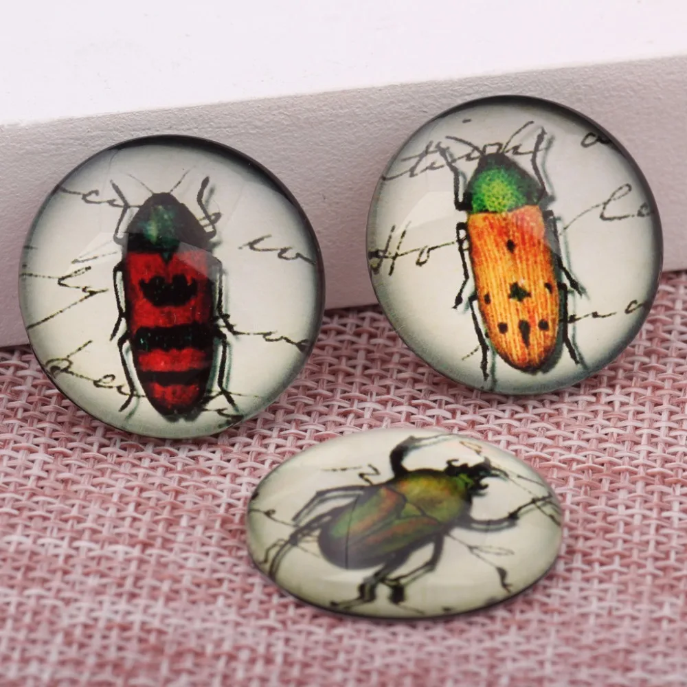 onwear handmade victorian insects photo glass cabochon 12mm 14mm 18mm 20mm 25mm mixed round dome flatback pendant findings