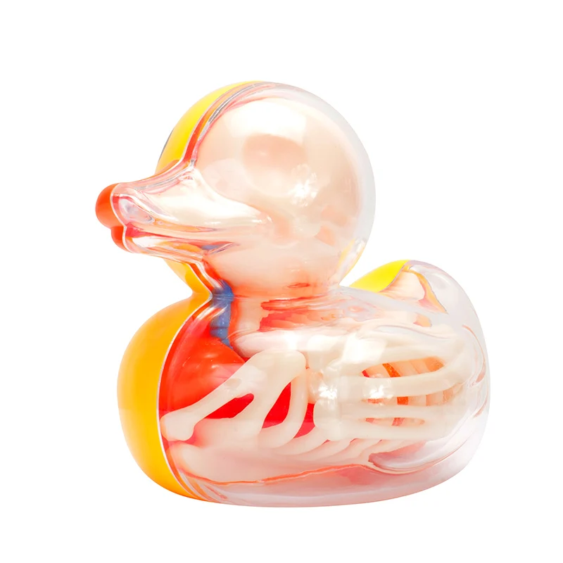 4D Master Transparent  Yellow Duck Anatomy Model 6 Parts Removable DIY Puzzle Bone Anatomical Education Kids Tool