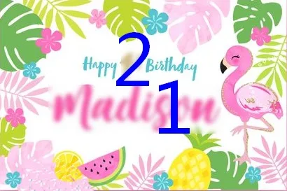 custom Flamingo Pineapple Watermelon Flower Leaves Party backdrops   Computer print birthday background